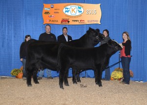 Reserve Champion Simmental Cow/Calf -- HPF Red Infinity X532 owned by Bethany Johnson, Harvester Farm, Remington, VA