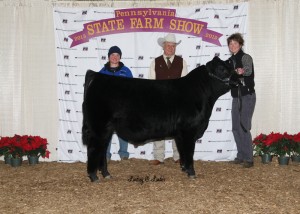 All Other Purebreds Reserve Grand Champion Bull -- PVSM Smooth Mooves, owned by PSA member Laurie Meyers, Powell's Valley Simmentals, Halifax, PA,  on Friday, January 9th, at the 99th Pennsylvania Farm Show.