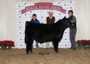 All Other Purebreds Reserve Grand Champion Bull -- PVSM Smooth Mooves, owned by PSA member Laurie Meyers, Powell's Valley Simmentals, Halifax, PA, on Friday, January 9th, at the 99th Pennsylvania Farm Show.