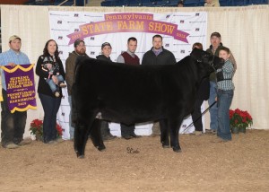 Junior Champion AOB Heifer and Supreme Champion Beef Female of the Junior Breeding Beef Show -- TJSC Diamond 1A, exhibited by Jackson Mattocks of Guys Mills, Crawford Co. on Sunday, Jan. 11, at the 99th Pennsylvania Farm Show in Harrisburg. (L-R): Alex Mattocks, Sarah London, Connon London, Darrin Lyle, Ashley Rodeheaver, judge Chris Cassady, judge Chris Mackey, James Campbell, Jackie Campbell and Jackson Mattocks