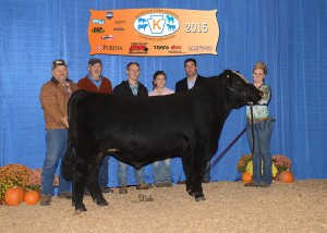 Grand Champion SimGenetics Bull -- Mr Americas Boulder Boy owned by Lynn Korns , K&K Cattle Co, Hyndman, PA