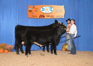 Champion SimGenetics Cow/Calf -- KFREYS ARKPRIDE CHANEL owned by Freddy Frey, Frey Family Angus, Drumore, PA