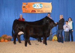 Champion Simmental Cow/Calf -- SVF/SS Razzle Dazzle Z622, owned by PSA member Greg Stewart Stewart's Simmental Cattle, Halifax, PA