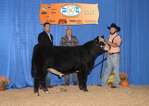 Reserve Grand Champion SimGenetics Bull -- FREYS WRANGLER owned by Freddy Frey, Frey Family Angus, Drumore, PA