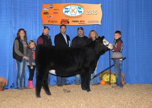 Reserve Grand Champion SimGenetics Female -- Miss WL Maxie B owned by Tyson Woodard, Cambridge, OH