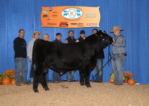 Reserve Grand Champion Simmental Bull -- SKJ BLK Star B20 owned by PSA member Valerie Mankey, SVJ Farm/Valerie Mankey, Amity, PA