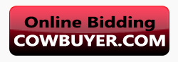 online_bidding_button_sidebar