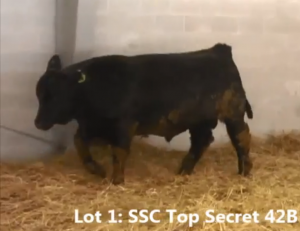 SSC Top Secret 42B