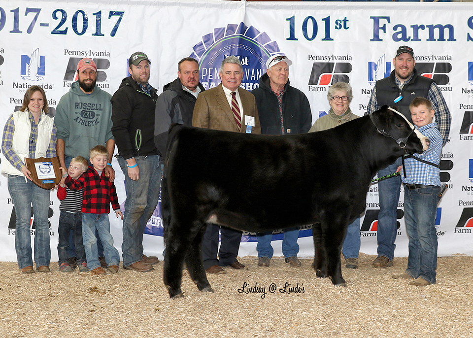 Junior Grand Champion Simmental - PA Farm Show 2017